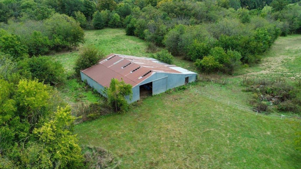 314 Northeast 550th Road Warrensburg, MO 64093 - Photo 7 of 73