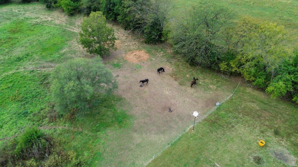 314 Northeast 550th Road Warrensburg, MO 64093 - Photo 8 of 73