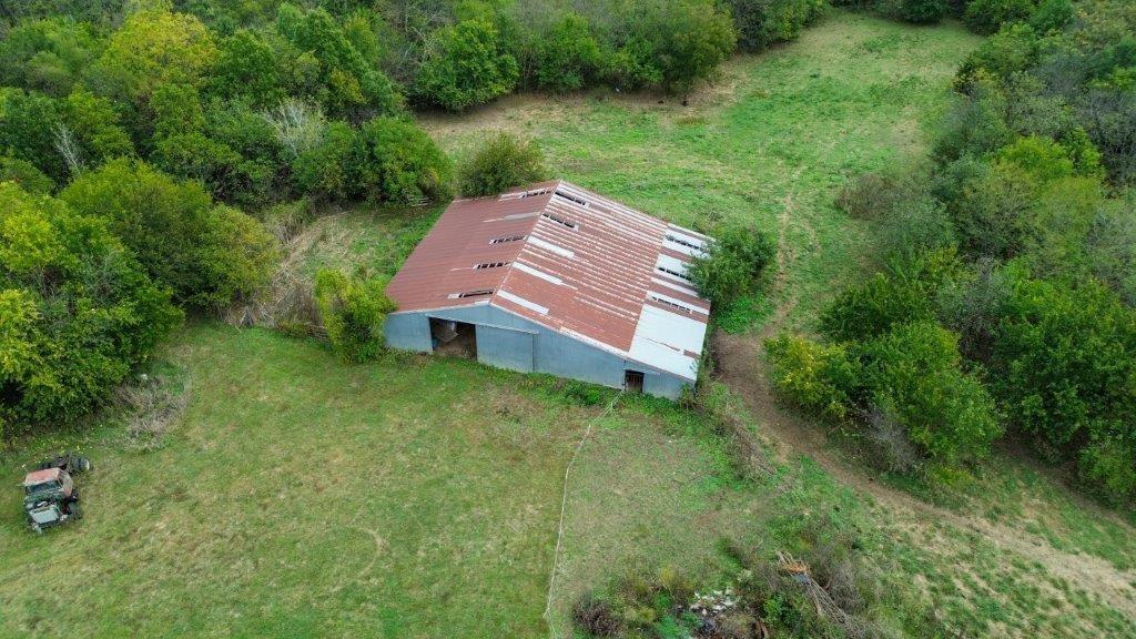 314 Northeast 550th Road Warrensburg, MO 64093 - Photo 9 of 73