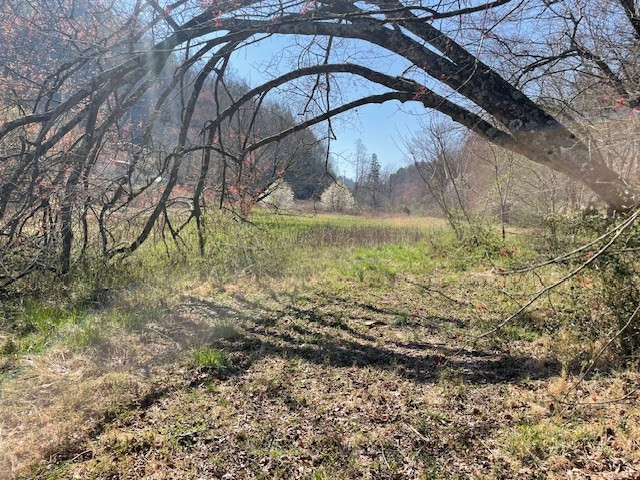 107 Minor Road Marble, NC 28905 - Photo 25 of 40