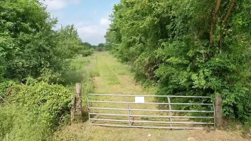 Tbd Tolosa Road Kemp, TX 75143 - Photo 4 of 5