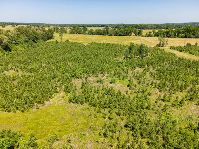 $500,640 | R13687 Cheeseland Road, Pollok, TX 75969