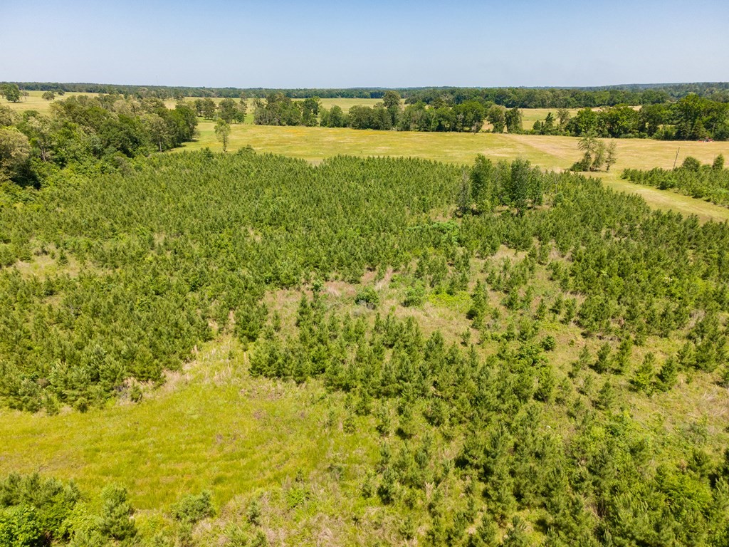 R13687 Cheeseland Road Pollok, TX 75969 - Photo 12 of 30