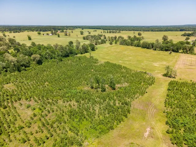 $500,640 | R13687 Cheeseland Road, Pollok, TX 75969