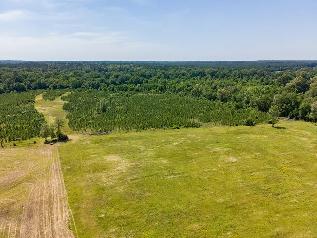 $500,640 | R13687 Cheeseland Road, Pollok, TX 75969