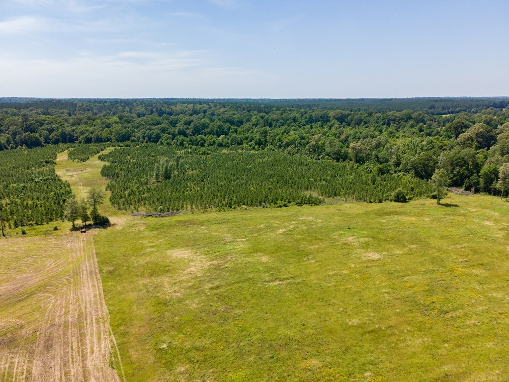 R13687 Cheeseland Road Pollok, TX 75969 - Photo 14 of 30