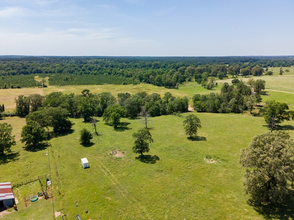 R13687 Cheeseland Road Pollok, TX 75969 - Photo 15 of 30