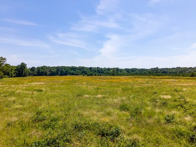 $500,640 | R13687 Cheeseland Road, Pollok, TX 75969