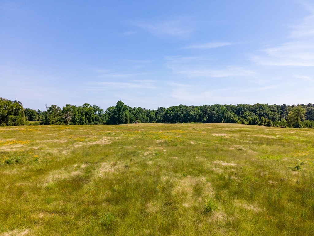 R13687 Cheeseland Road Pollok, TX 75969 - Photo 17 of 30