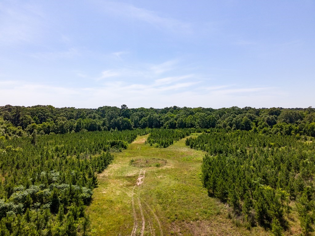 R13687 Cheeseland Road Pollok, TX 75969 - Photo 18 of 30