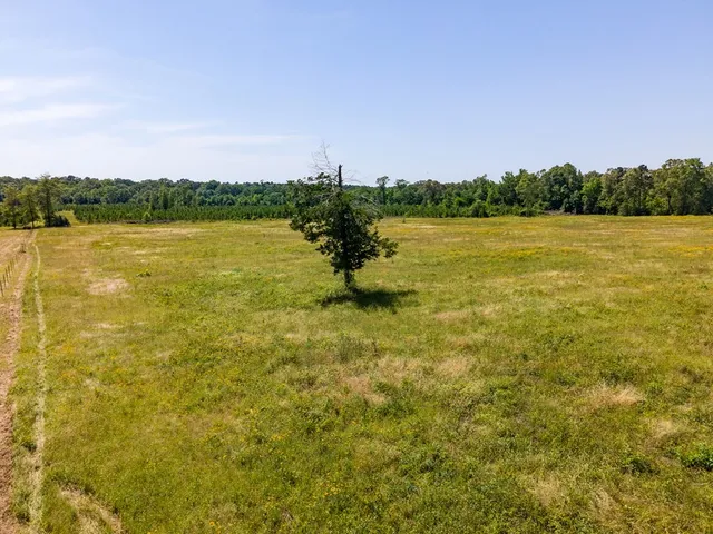 $500,640 | R13687 Cheeseland Road, Pollok, TX 75969