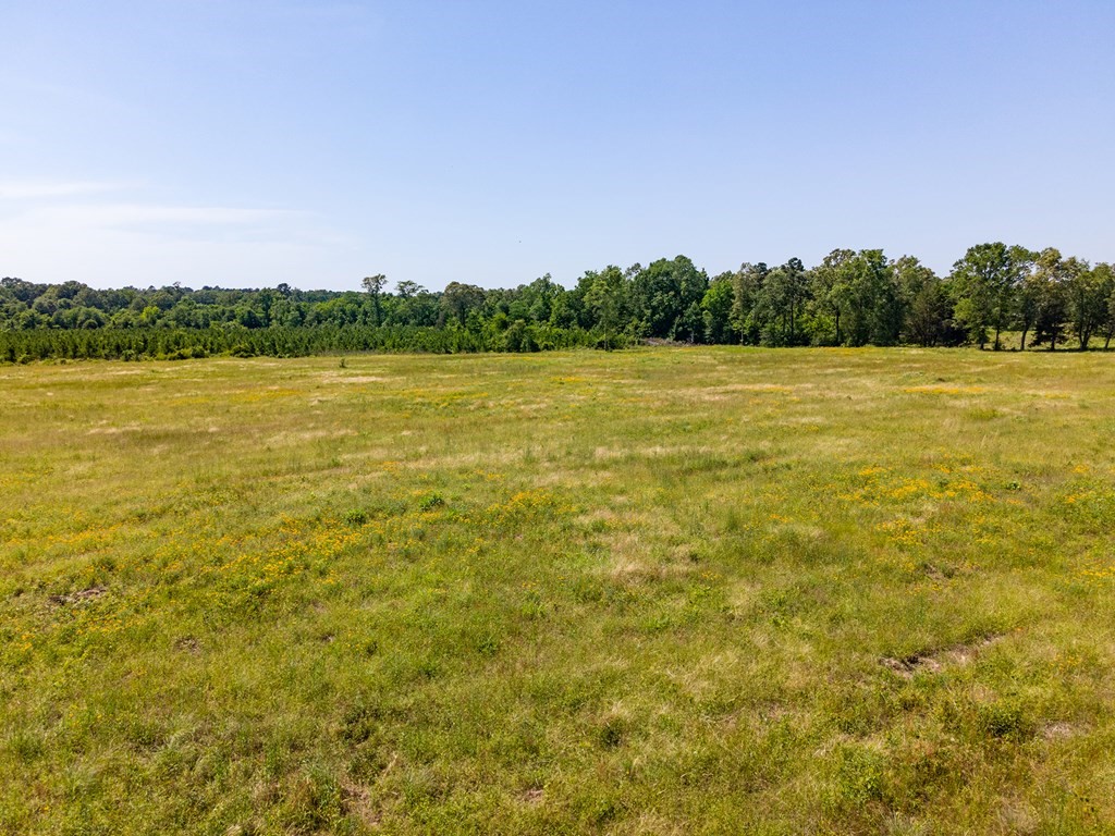 R13687 Cheeseland Road Pollok, TX 75969 - Photo 20 of 30