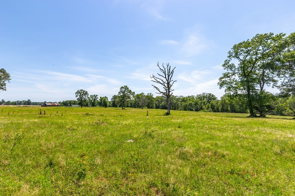 R13687 Cheeseland Road Pollok, TX 75969 - Photo 22 of 30