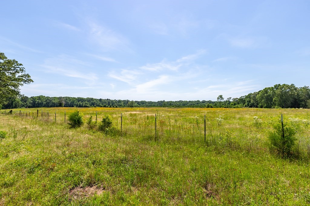 R13687 Cheeseland Road Pollok, TX 75969 - Photo 23 of 30