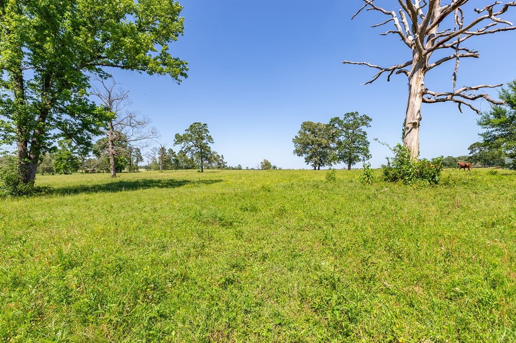 R13687 Cheeseland Road Pollok, TX 75969 - Photo 24 of 30