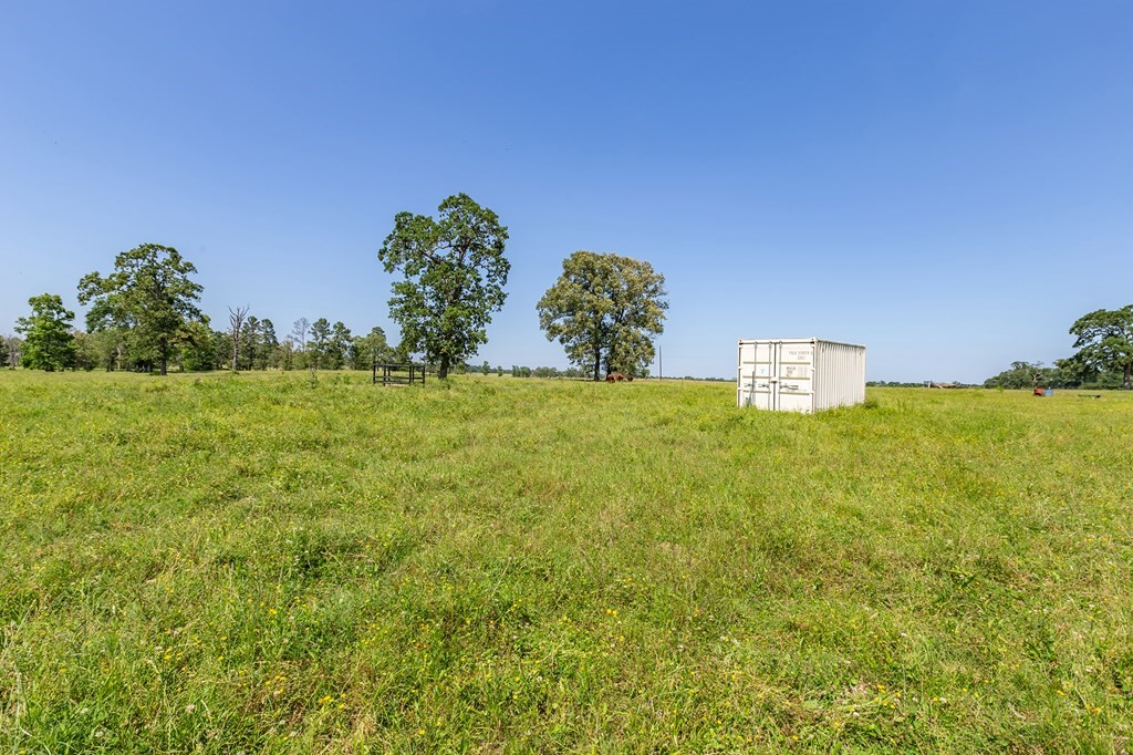R13687 Cheeseland Road Pollok, TX 75969 - Photo 25 of 30