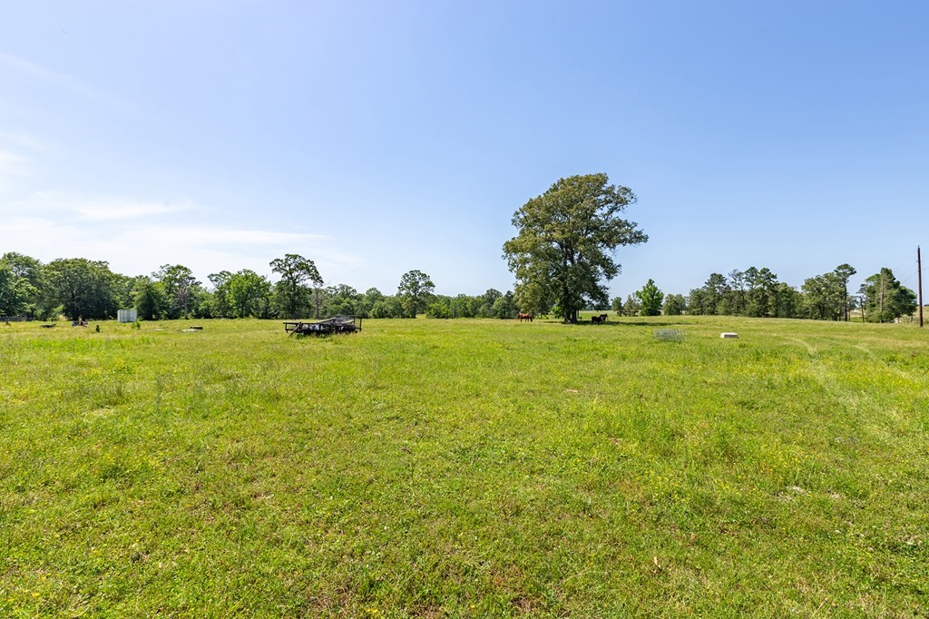 R13687 Cheeseland Road Pollok, TX 75969 - Photo 28 of 30