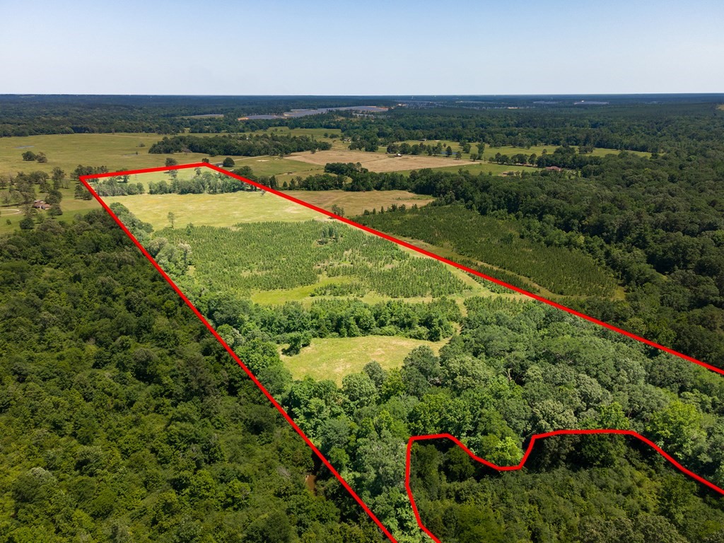 R13687 Cheeseland Road Pollok, TX 75969 - Photo 3 of 30