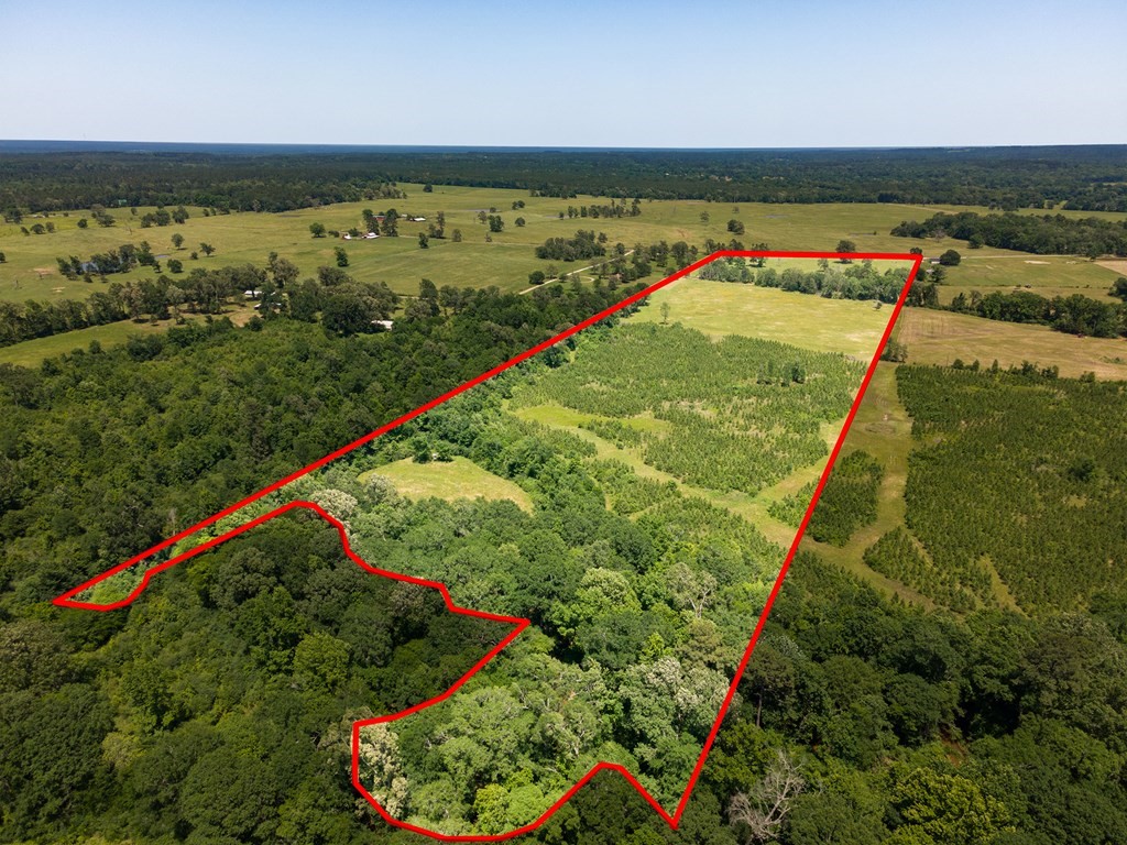 R13687 Cheeseland Road Pollok, TX 75969 - Photo 4 of 30