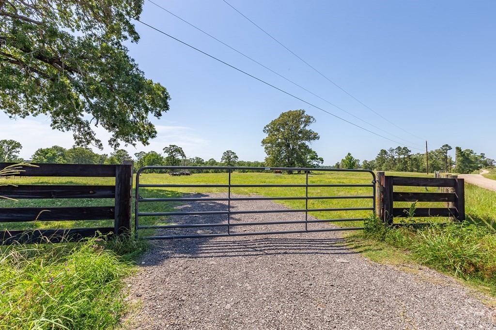 R13687 Cheeseland Road Pollok, TX 75969 - Photo 5 of 30