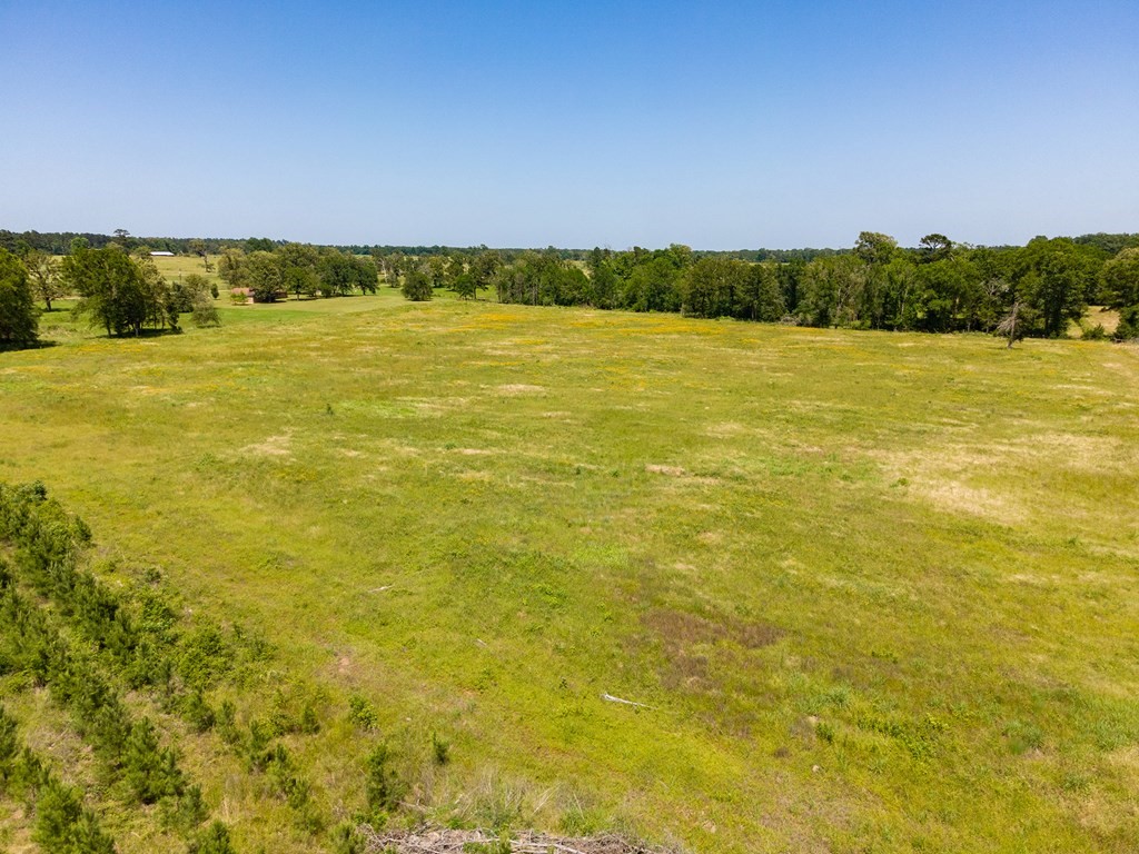 R13687 Cheeseland Road Pollok, TX 75969 - Photo 10 of 30