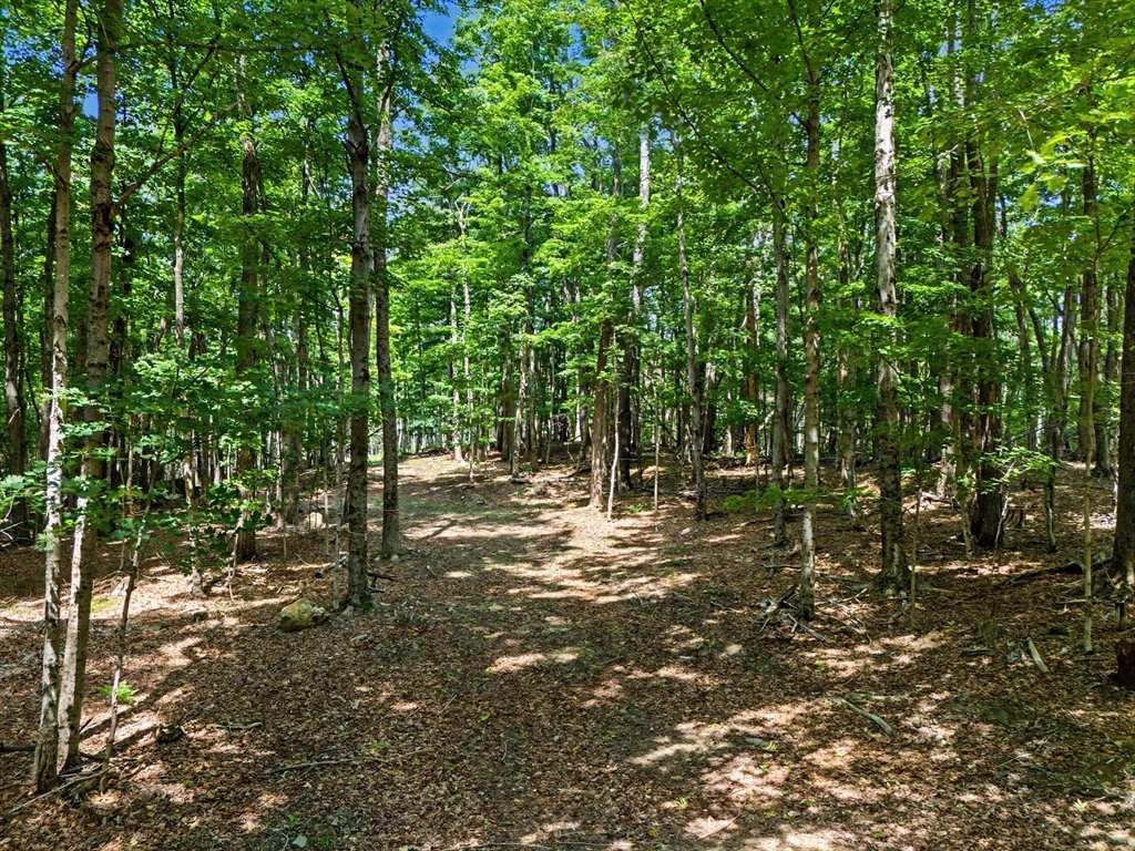 951 West Road Ashfield, MA 01330 - Photo 3 of 30 Gallery Image 3
