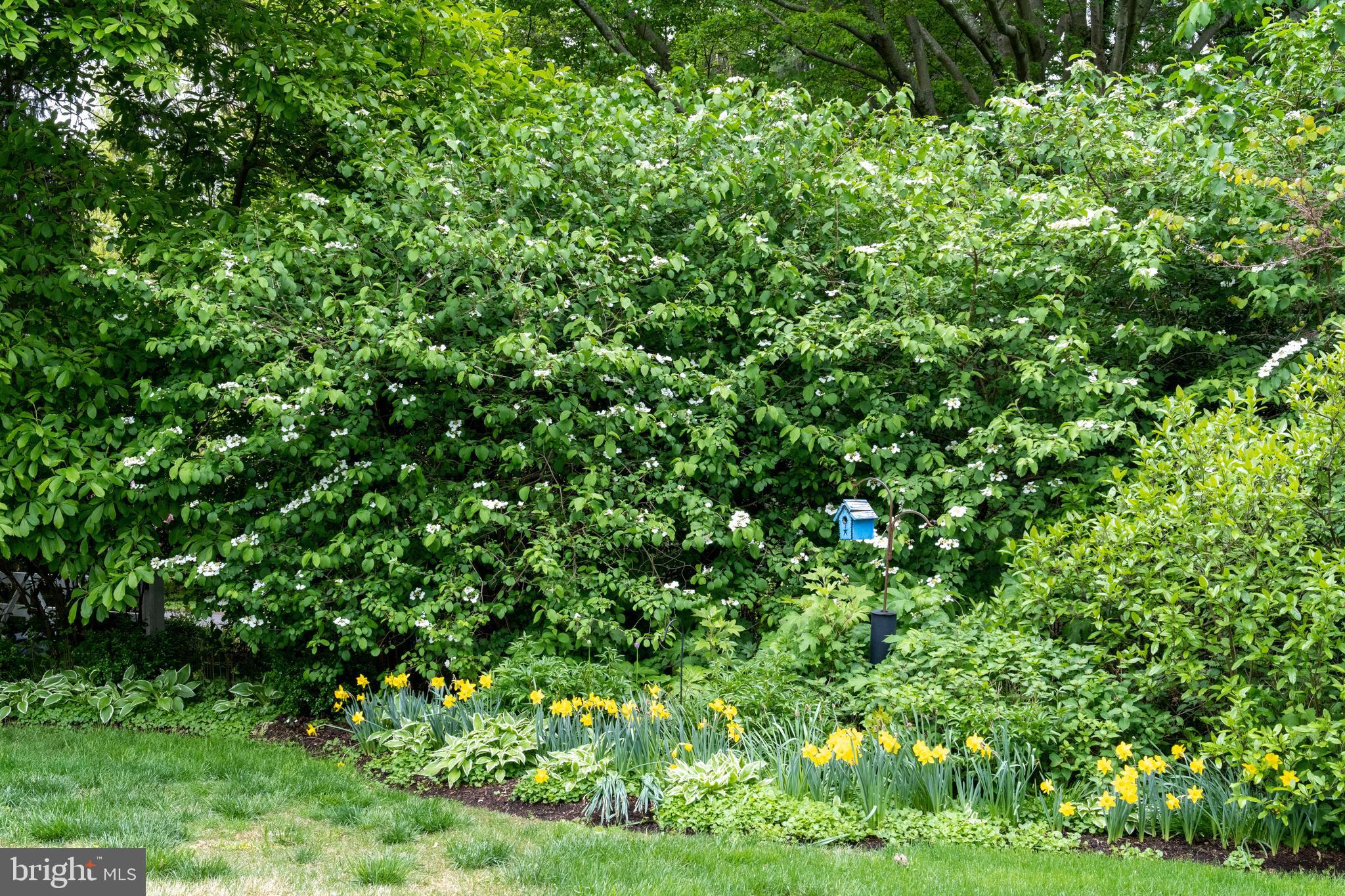 1009 Cloverlea Road Towson, MD 21204 - Photo 55 of 68 Gallery Image 55