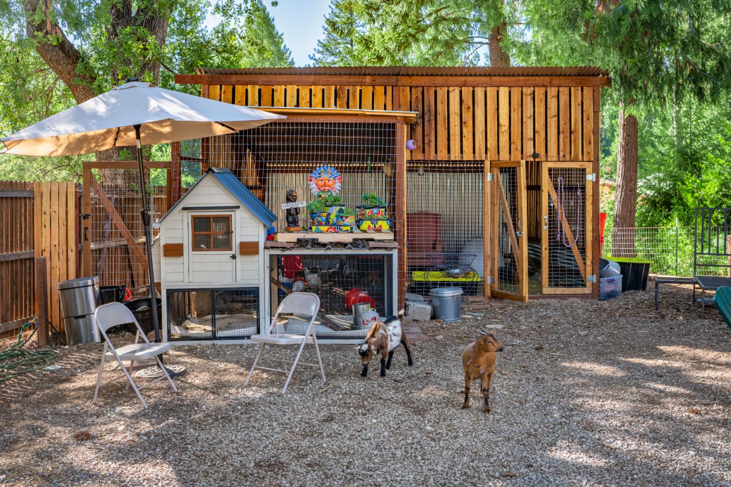 2963 5 Mile Road Placerville, CA 95667 - Photo 38 of 43