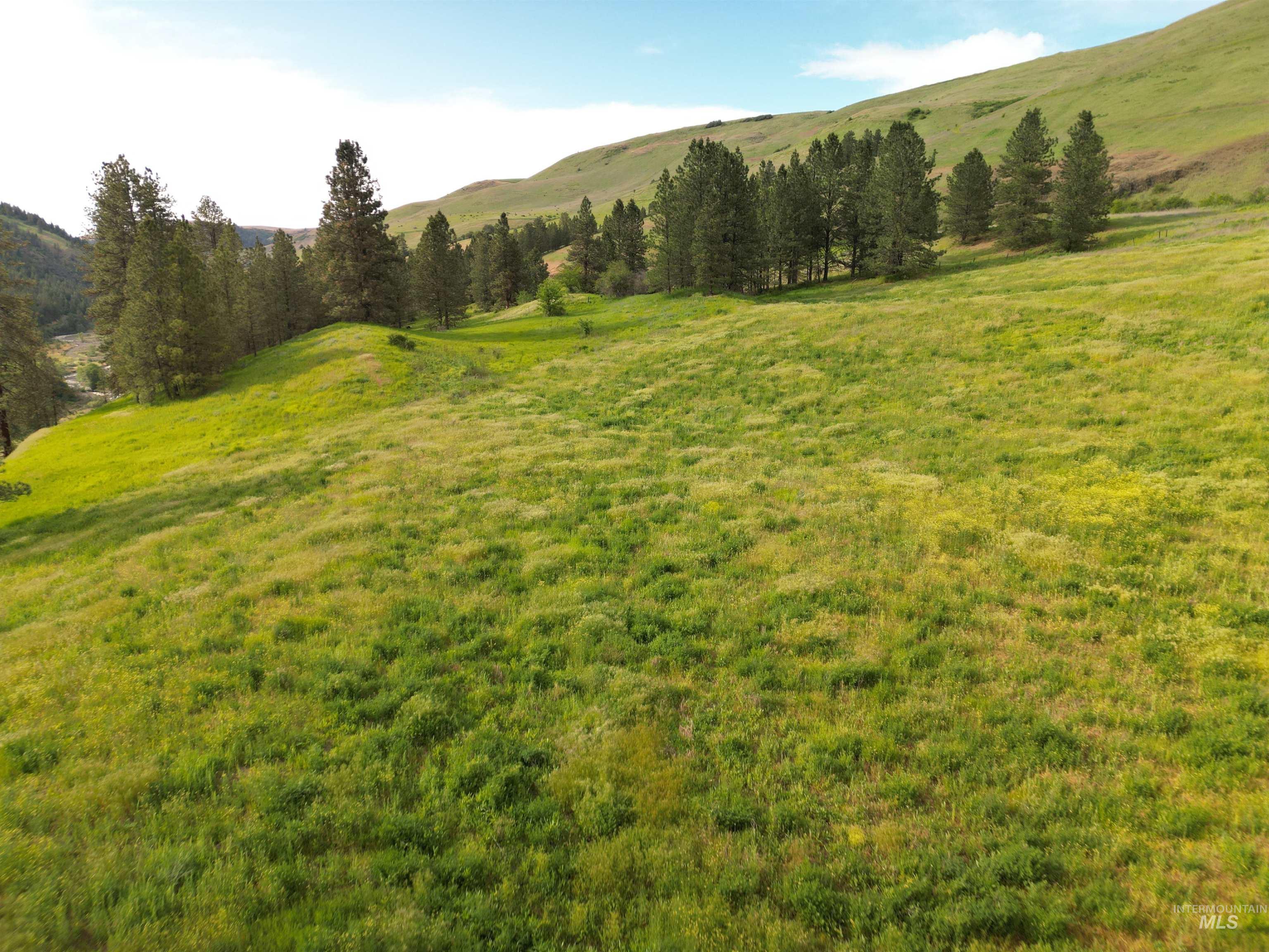 0 American Ridge Road Kendrick, ID 83537 - Photo 2 of 25