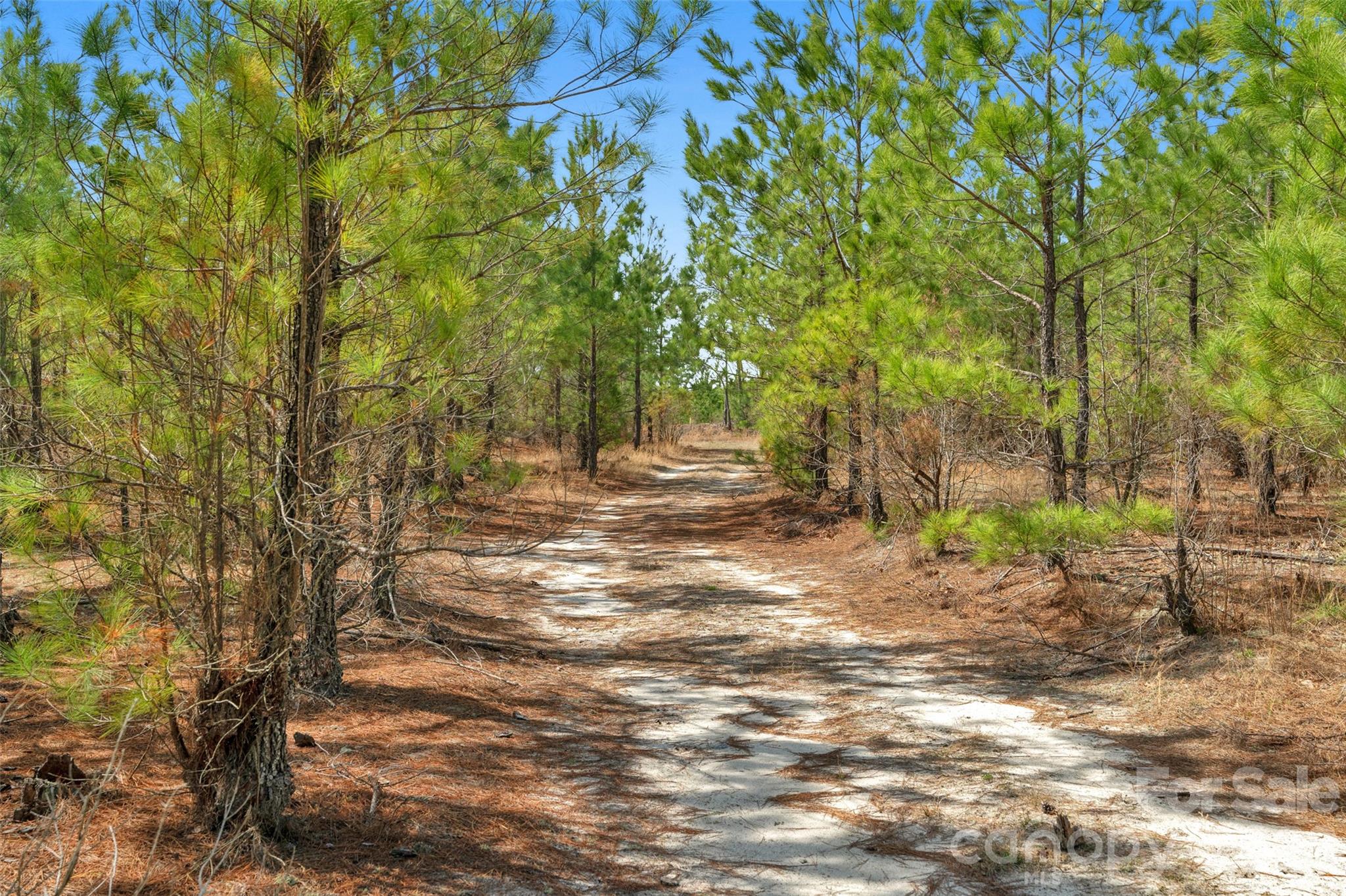 931 Charlie Johnson Road, Unit 7 Kershaw, SC 29067 - Photo 31 of 34
