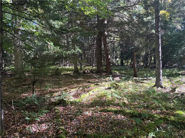 $170,000 | Moehs Road, Old Forge, NY 13420