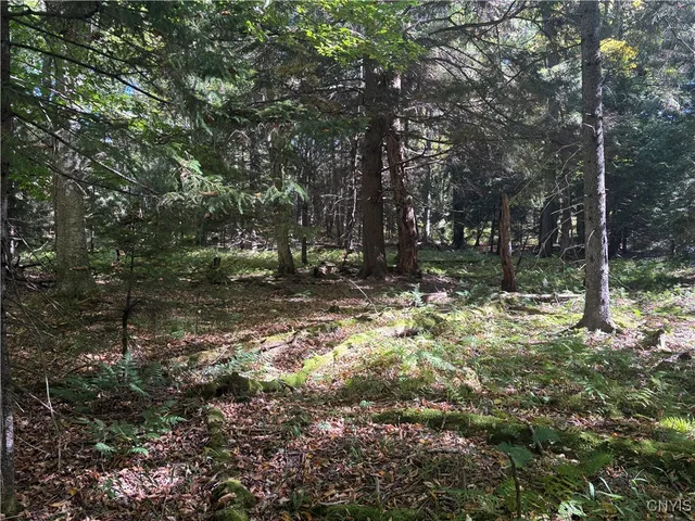 $190,000 | Moehs Road, Old Forge, NY 13420
