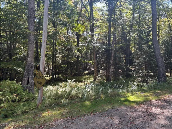 $170,000 | Moehs Road, Old Forge, NY 13420