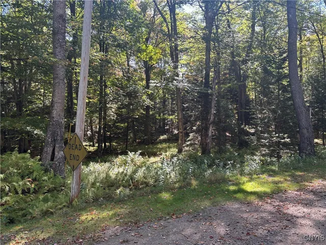 $190,000 | Moehs Road, Old Forge, NY 13420
