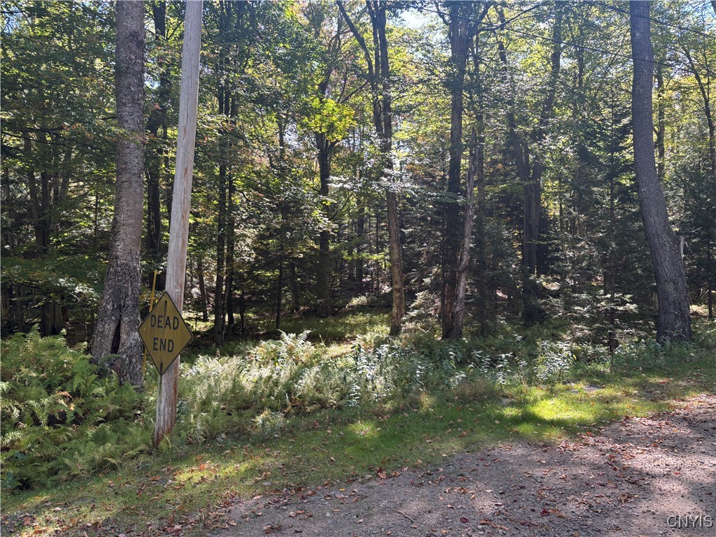 Moehs Road Old Forge, NY 13420 - Photo 2 of 5