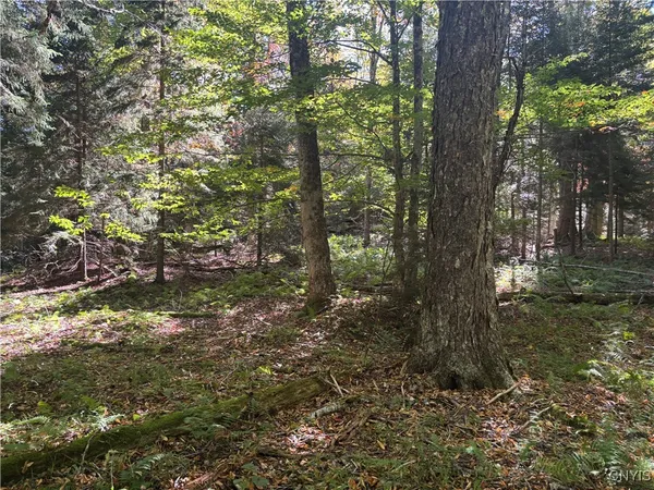 $170,000 | Moehs Road, Old Forge, NY 13420