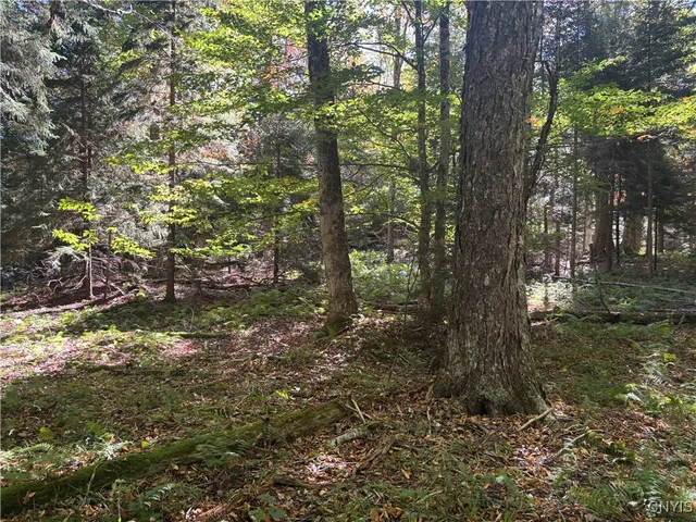 $190,000 | Moehs Road, Old Forge, NY 13420