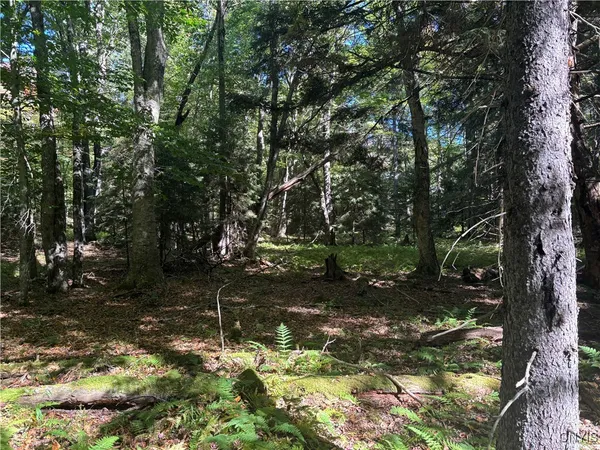 $170,000 | Moehs Road, Old Forge, NY 13420