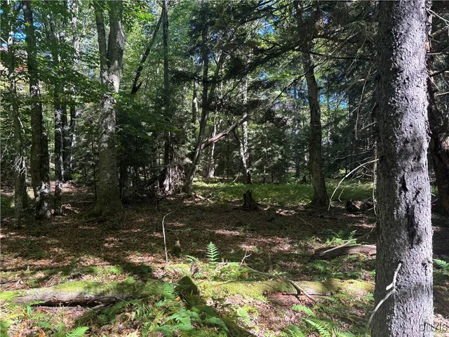 $190,000 | Moehs Road, Old Forge, NY 13420
