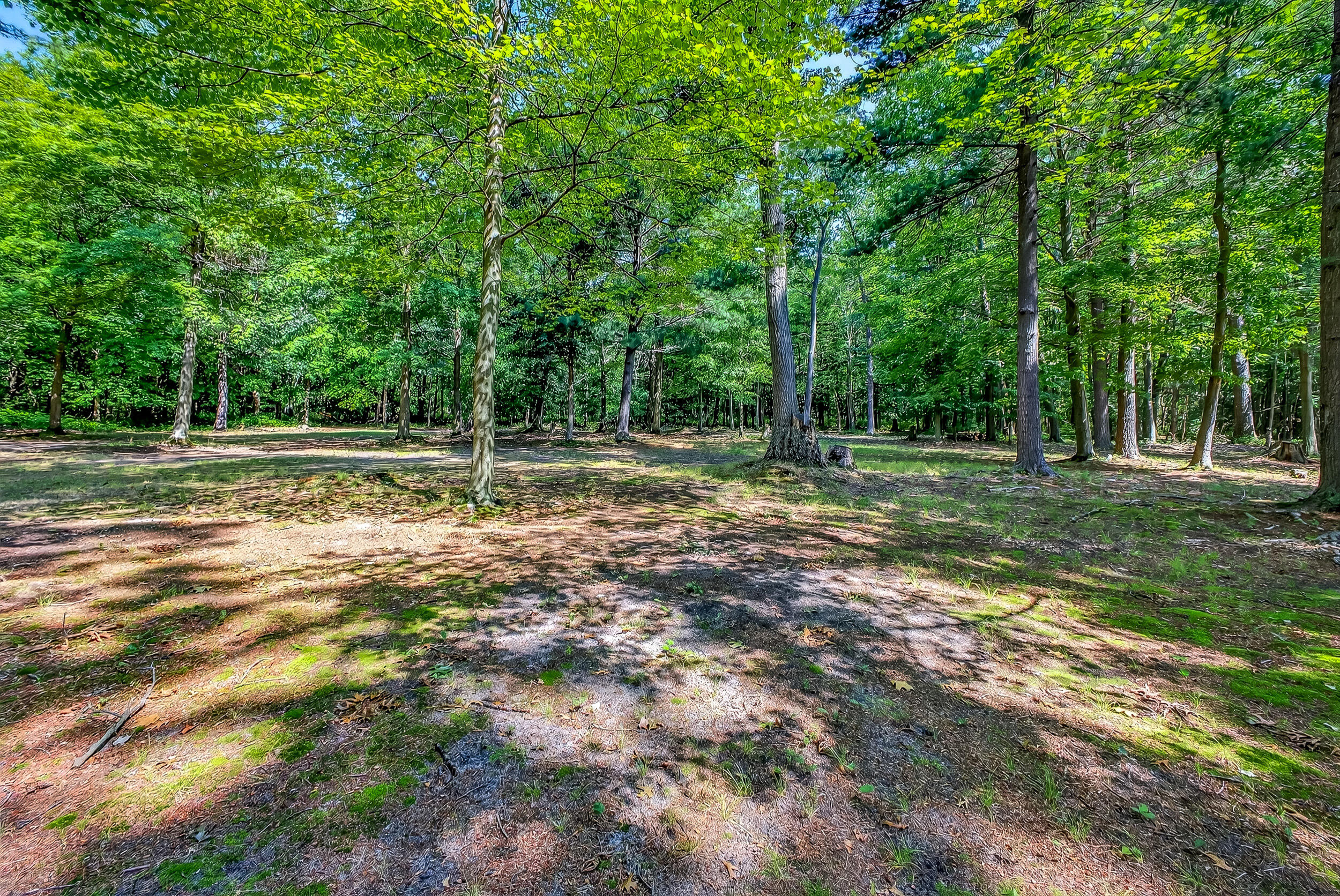 3074 Fenner Road Muskegon, MI 49445 - Photo 52 of 55 3074 fenner-51