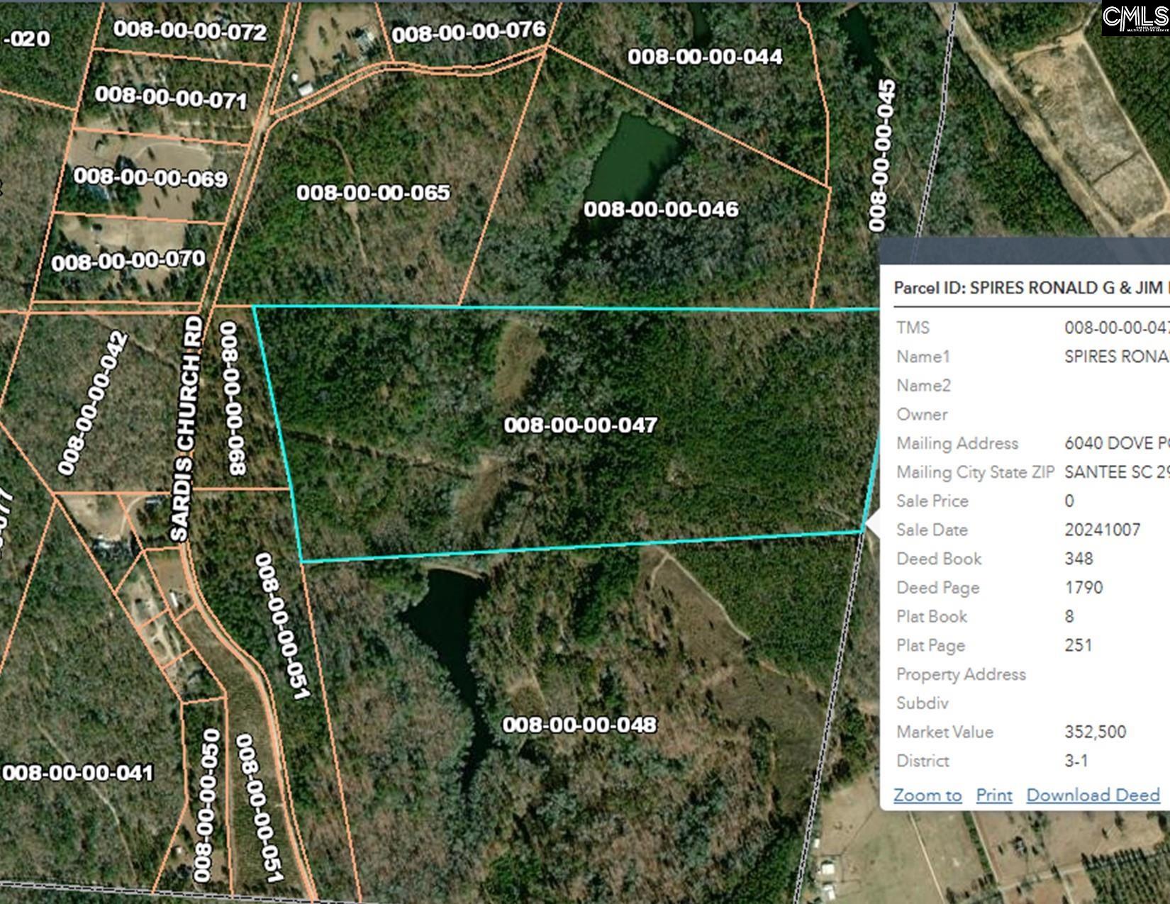 0 Sardis Church Road Swansea, SC 29160 - Photo 6 of 6