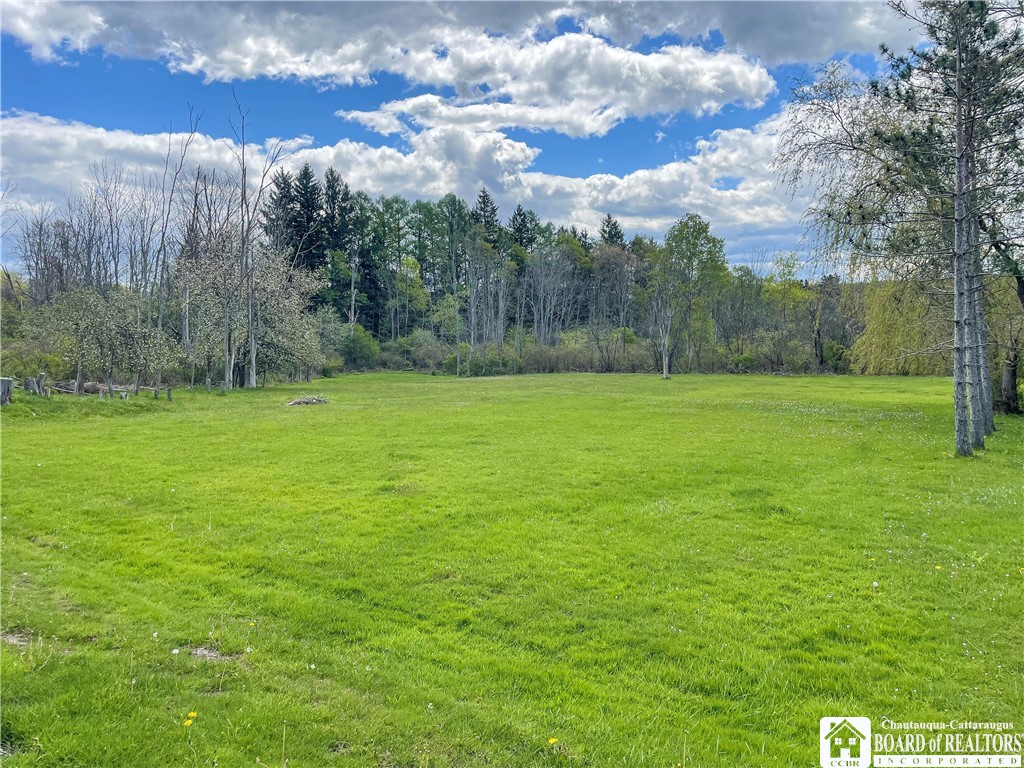 1468 Shadyside Road Busti, NY 14750 - Photo 3 of 25 13.7 Acres