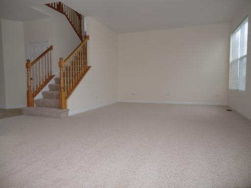 1312 Roth Drive Joliet, IL 60431 - Photo 12 of 15