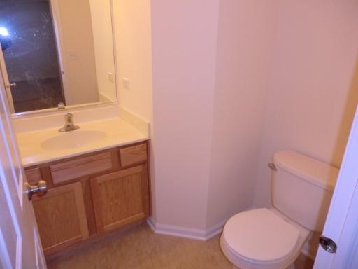 1312 Roth Drive Joliet, IL 60431 - Photo 6 of 15