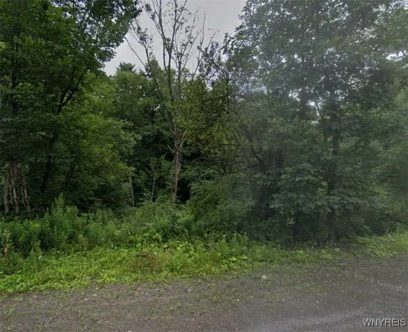 $33,900 | Lot 17 Grange Hall Road, Oneonta, NY 13820
