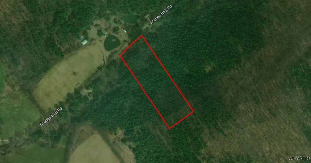 Lot 17 Grange Hall Road Oneonta, NY 13820 - Photo 2 of 2