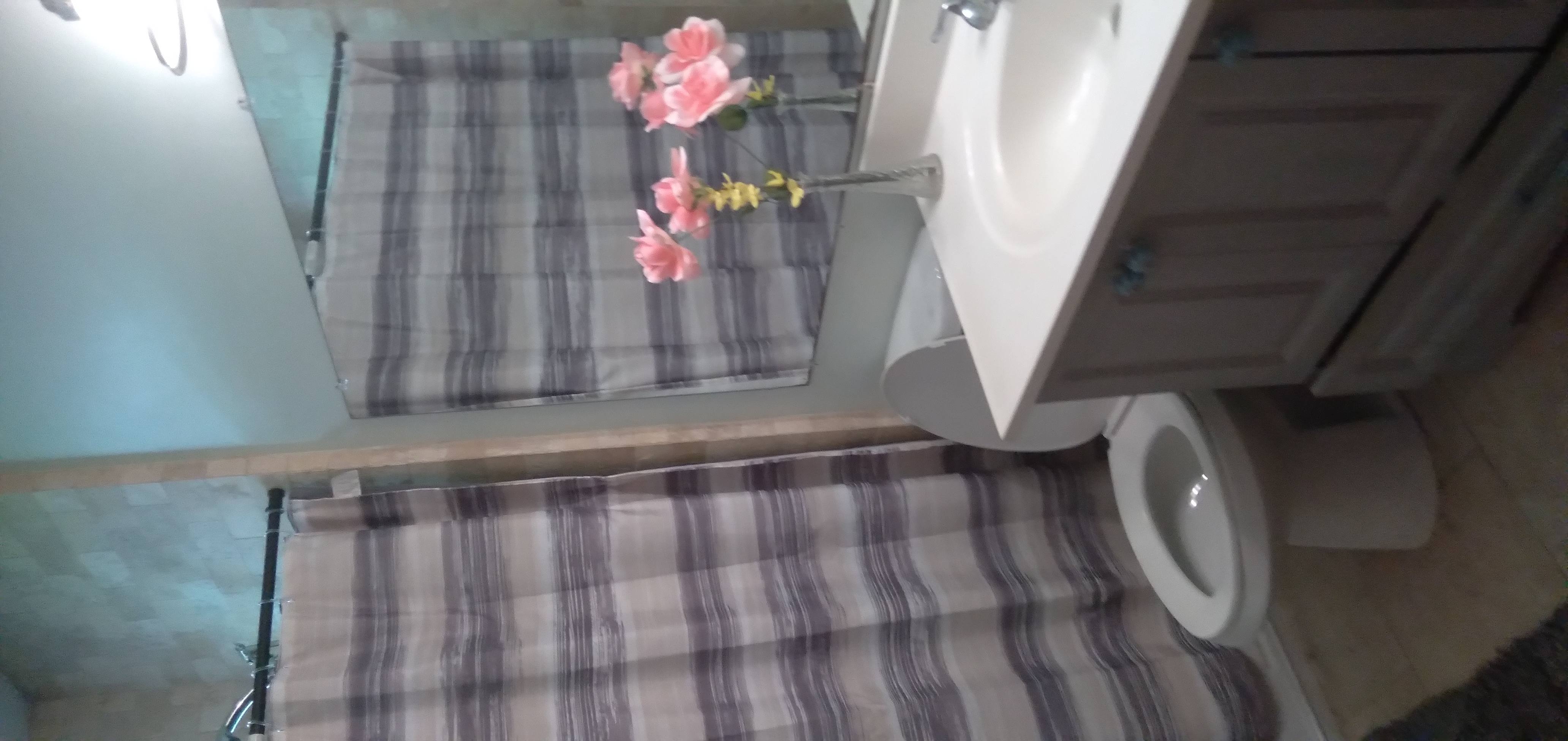 14-3431 Seadrift Road Pahoa, HI 96778 - Photo 11 of 22 a bathroom with a sink a toilet and shower