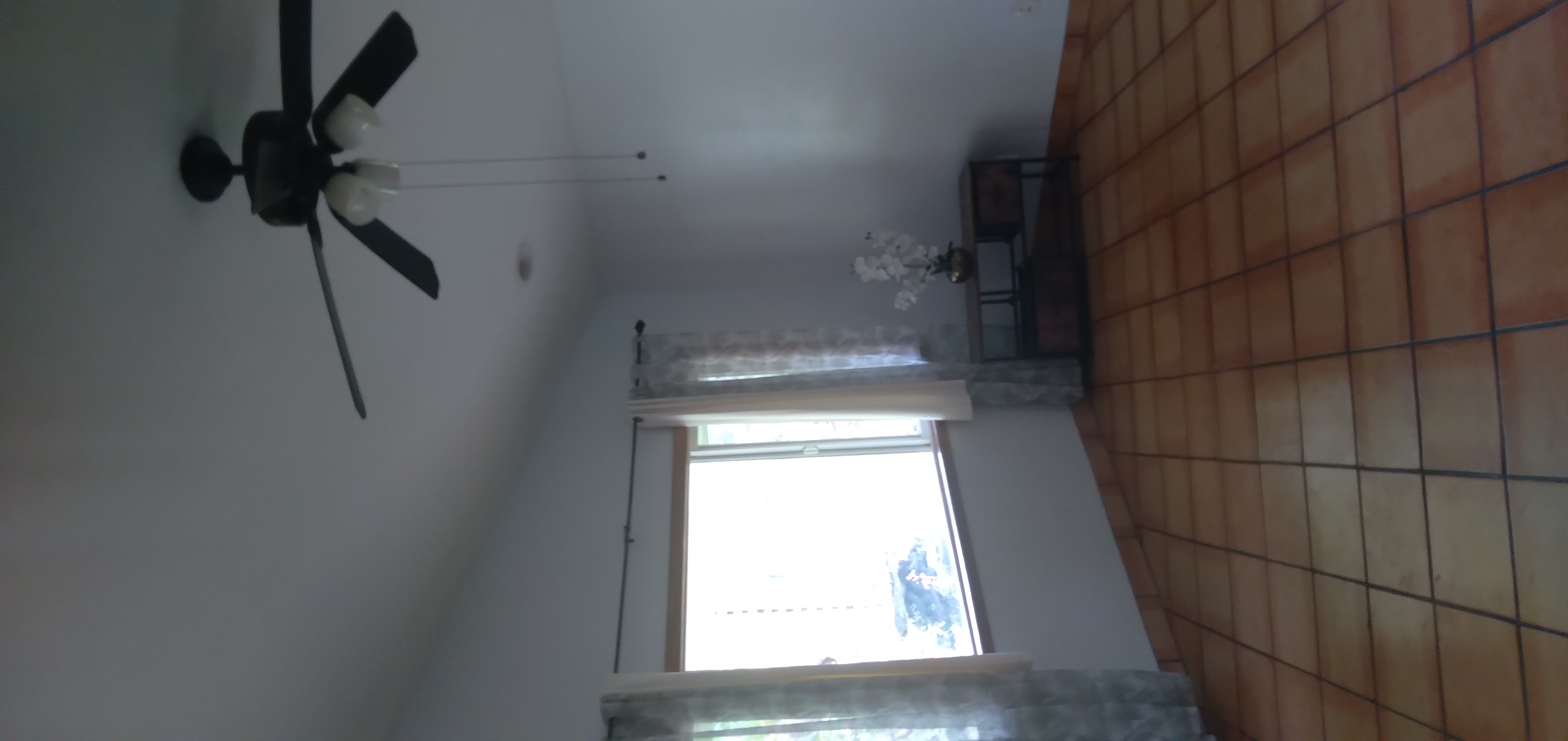 14-3431 Seadrift Road Pahoa, HI 96778 - Photo 16 of 22 a view of a room with a window