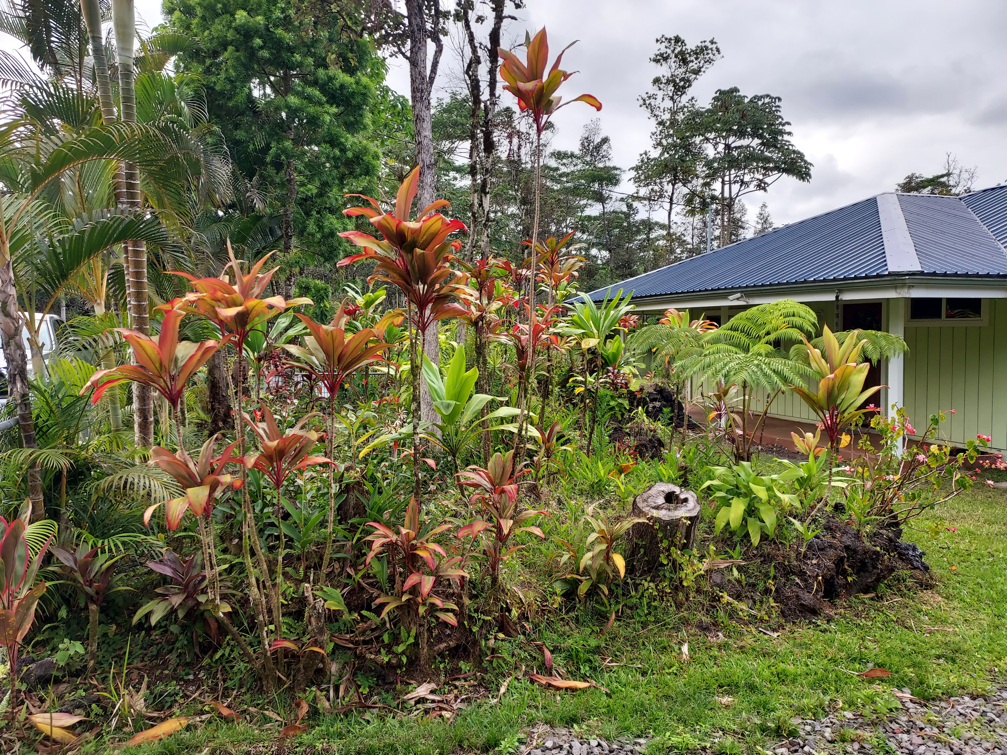 14-3431 Seadrift Road Pahoa, HI 96778 - Photo 21 of 22 a view of a house with a flower garden