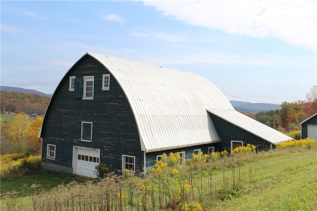 1073 Lower Meeker Hollow Road Roxbury, NY 12474 - Photo 2 of 50 North side of barn